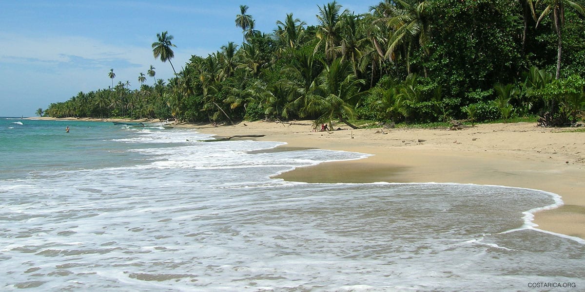Punta Uva